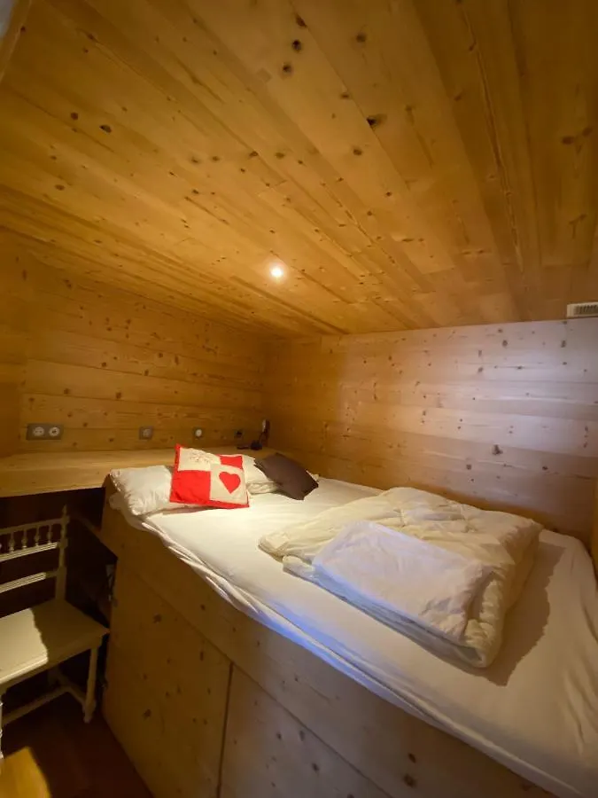 Large Apartment With Breathtaking View At The Foot Of The Slopes Huez
